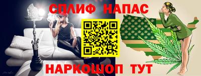 ешки Гай