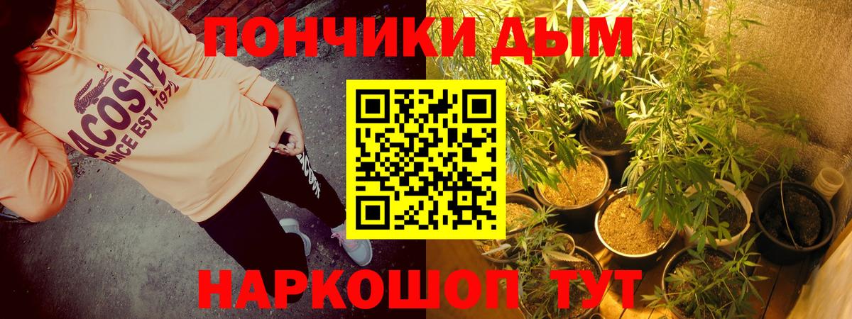 Можга  Бошки марихуана конопля  Каннабис Bruce Banner  Вход с VPN 